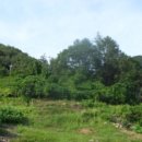 김삿갓면-36 이미지