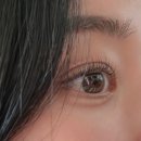 디자인모오