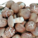 백화농장 이미지