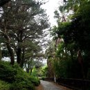 덕판배미술관 | 16일차(서귀포칠십리시공원)