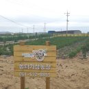 경기농장 이미지