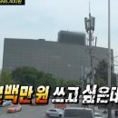 개미애견미용실 | Mar_1