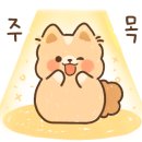 디어드립랩 이미지