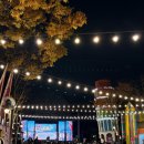 은하타운 | [공지] 서울대공원, &lt;서울랜드&gt; 초겨울 나들이 #크리스마스타운 #가을나들이 #겨울나들이