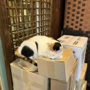 이천솥밥 이미지