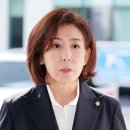 [속보] 검찰, 황교안 징역 1년 6개월·나경원 징역 2년 구형 이미지