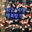 대학로 드림아트센터 4관