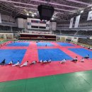 국가대표효자효녀태권도장 | 대전 품새선수 전문 도성태권도 KHH, 강철, 디테일 연합 동계훈련 다녀왔어요