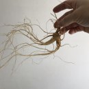 백두산한의원 이미지