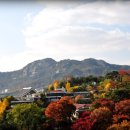 칠보단장 이미지