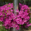 가현어린이공원 이미지