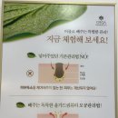 올가드림뷰티 구영점