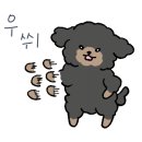 펌킨 펫하우스 서울숲 이미지