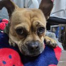 연화2경로당 이미지