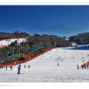 비발디파크렌탈샵에스앤에스 이미지