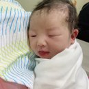 깨끗태진 이미지