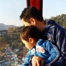 호랭이카 이미지