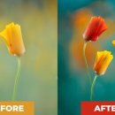 포토샵&그래픽 이미지