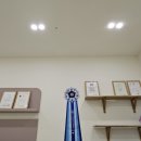 달콤한댕 이미지