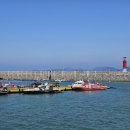 아라메길 (삼길나루길-벚꽃길) 이미지