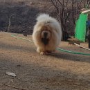 두솔아이 이미지