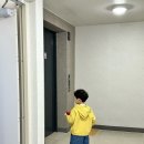5살 아기 봄옷 🌸 코디 사이즈 후기 (뉴발란스, 얼리틀, 미니모먼츠, 오프오프스튜디오, 노스페이스)