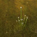 곡정초등학교 이미지