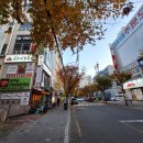 일진프라자 | [김해시 맛집] 용주네 쭈꾸미