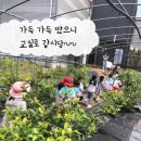 한꽃유치원 이미지