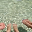 봉화산 민박 이미지