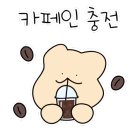 똥개애견카페 이미지