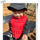 손자농장 이미지