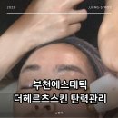 신성BT | 부천에스테틱 더헤르츠스킨 미백탄력관리 후기