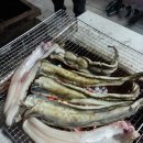 어은돌민박 네이버블로그