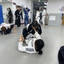 파다주짓수아름