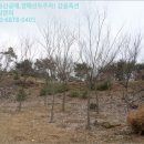달전2리 마을회관 이미지