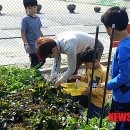 천안중앙초등학교 이미지