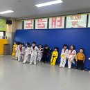경희대 다산 태권도 이미지