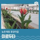 미로두타농촌체험휴양마을 이미지