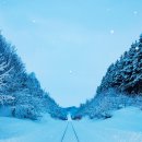 오션글로비스 이미지