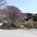 콩깍지민박 이미지