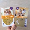 신사굿약국 이미지