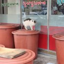 태림사우나 이미지