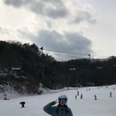 불독스파르타
