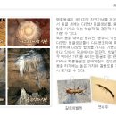 백룡동굴 이미지