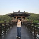 안동 2박 3일 여행 1일차 (아니 왜 노잼이 아니지?)