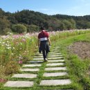 내고향공인중개사사무소 이미지