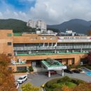 고향 이미지