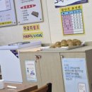 유승추어탕 이미지