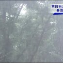 [일본뉴스청해]2013.08.26 일본 각지 호우 피해 이미지